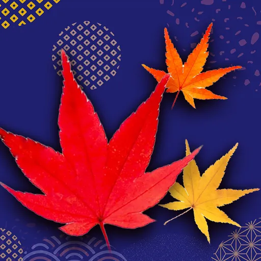 紅葉で神経衰弱：脳トレになる！